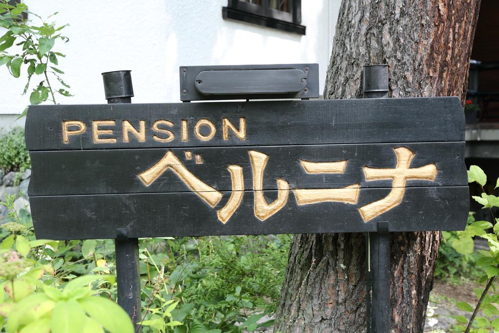 Pension Belnina Хакуба-Мура Экстерьер фото
